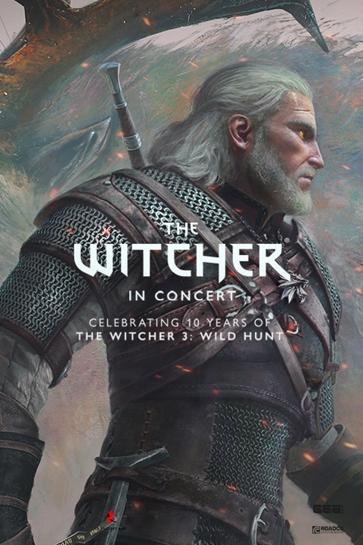 The Witcher show poster