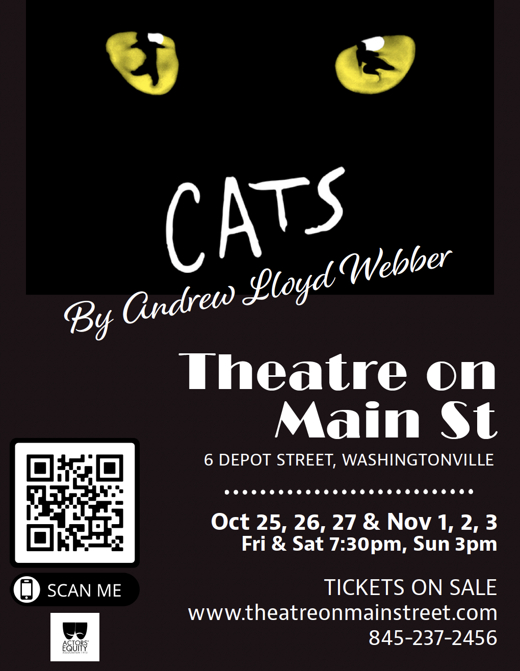 Andrew Lloyd Webber's Cats in Rockland / Westchester