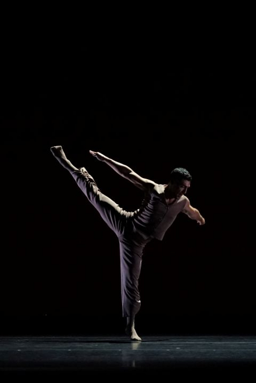 New Dance Partners - The Ultimate Collaboration