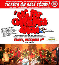 Broadway to the Rescue: The Big Fact Christmas Show