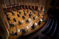 In Focus: Celestial Serenades