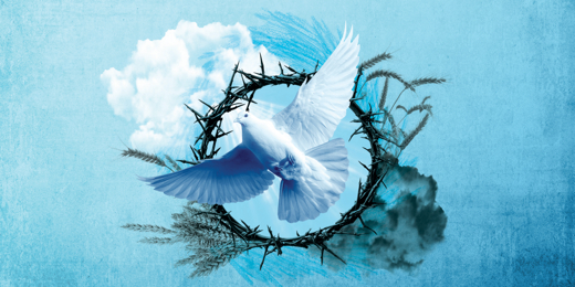 The Harvest by Sameul D. Hunter