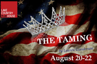 THE TAMING show poster