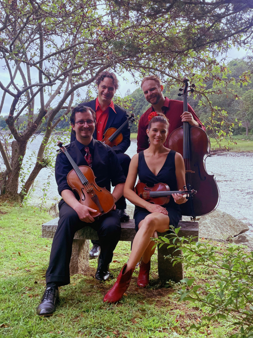 'wood, wire and song'