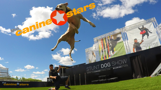 The Canine Stars Stunt Dog Show show poster