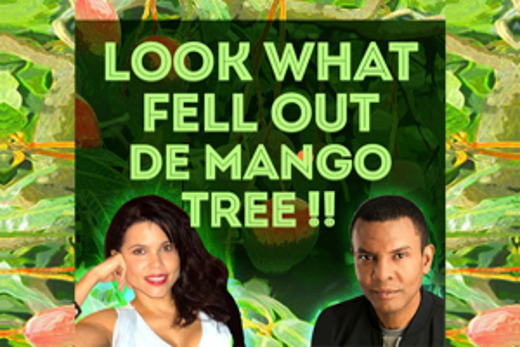 Look What Fell Out De Mango Tree show poster