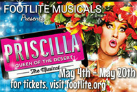 Priscilla, Queen of the Desert the Musical