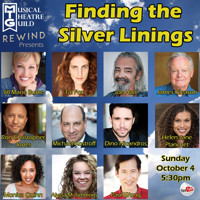 Finding the Silver Linings show poster