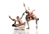 Miro Magloire's New Chamber Ballet in Rockland / Westchester Logo