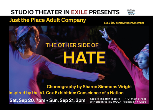 The Other Side of Hate show poster