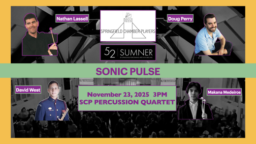 Sonic Pulse