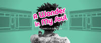 Wonder in My Soul show poster