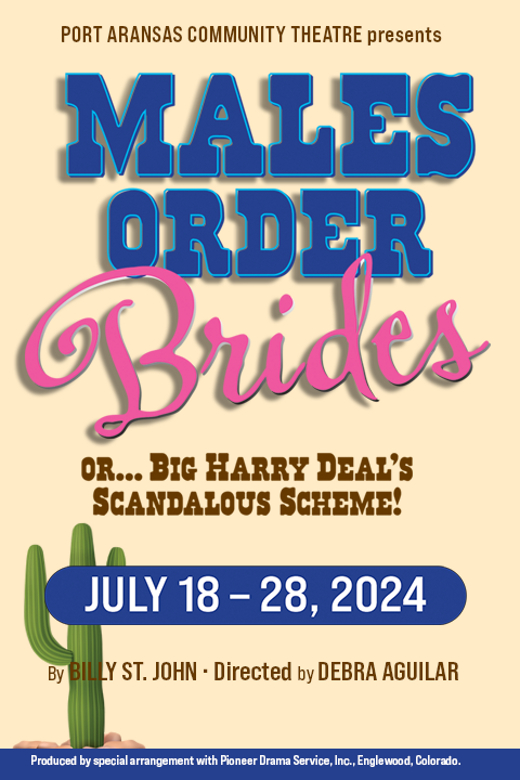 Males Order Brides show poster