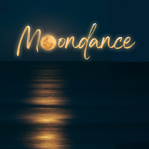 Moondance: A Tribute to Van Morrison in Connecticut