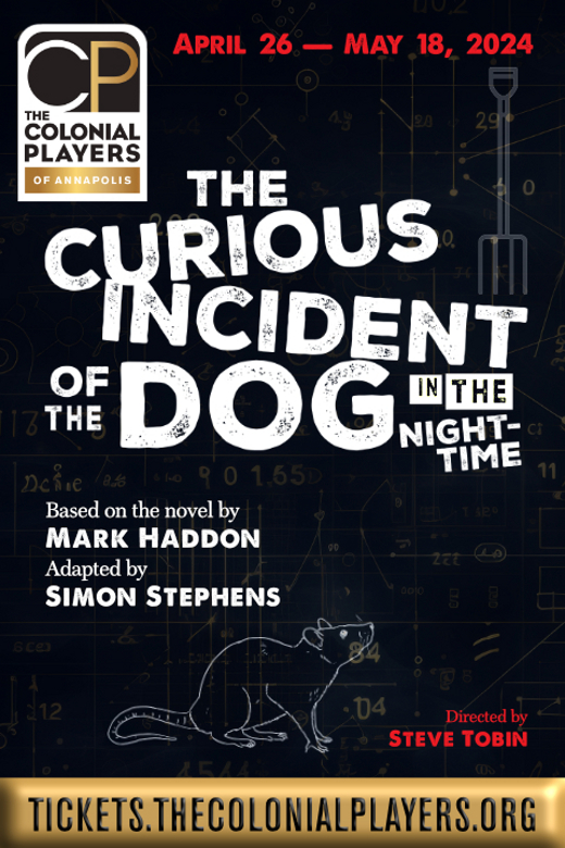 The Curious Incident of the Dog in the Night-Time in 