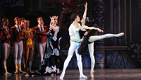 Nerubashenko Ballet presents: Swan Lake & The Nutcracker