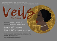 Veils show poster