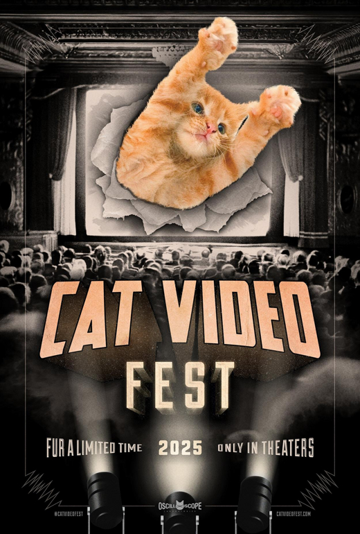 CAT VIDEO FEST 2025 and kitties for adoption in lobby! Sun, Aug 3, Movie 4pm, Kitties in Lobby 3pm