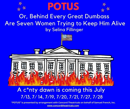 POTUS: Or, Behind Every Great Dumbass Are Seven Women Trying to Keep Him Alive show poster