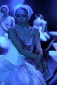 Swan Lake in Italy