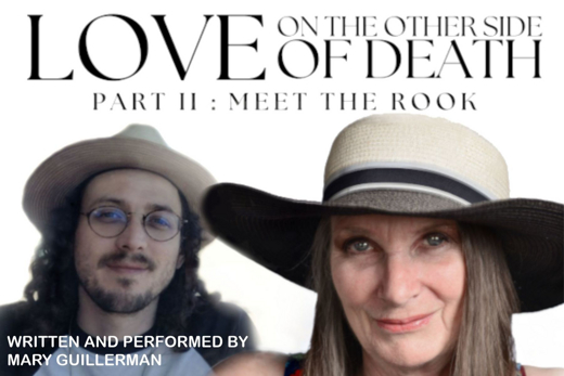 Love on the Other Side of Death Part II: Meet the Rook – a BFF ’24 in ’25 Free Event show poster