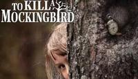 To Kill a Mockingbird show poster