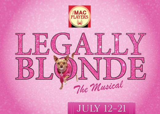 Legally Blonde the Musical show poster