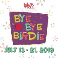 Bye Bye Birdie show poster