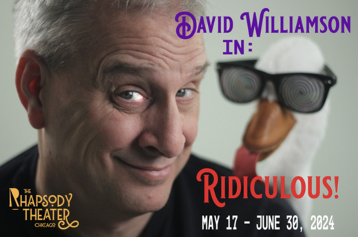 David Williamson in: Ridiculous show poster
