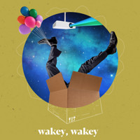 Wakey, Wakey show poster