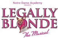 Legally Blonde the Musical