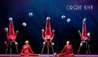 Cirque Ziva show poster
