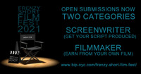 Open Call Frenzy Short Film Festival 2021 show poster