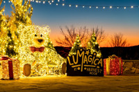 Lumagica USA Enchanted Forest in Rockland / Westchester