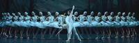 St. Petersburg Ballet - Swan Lake & Giselle show poster