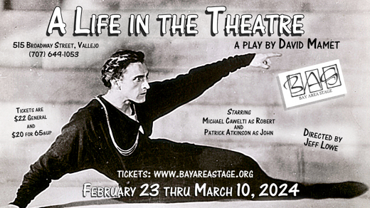 A Life in the Theatre a play by David Mamet