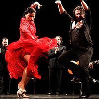 Soledad Barrio & Noche Flamenca