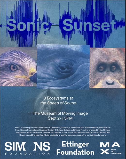 Sonic Sunset
