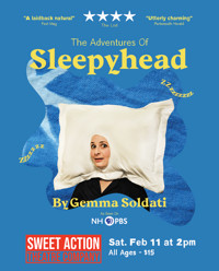 The Adventures of Sleepyhead by Gemma Soldati