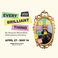 Every Brilliant Thing show poster