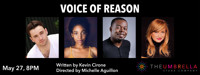 Voice of Reason show poster