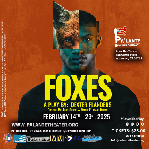 Foxes show poster