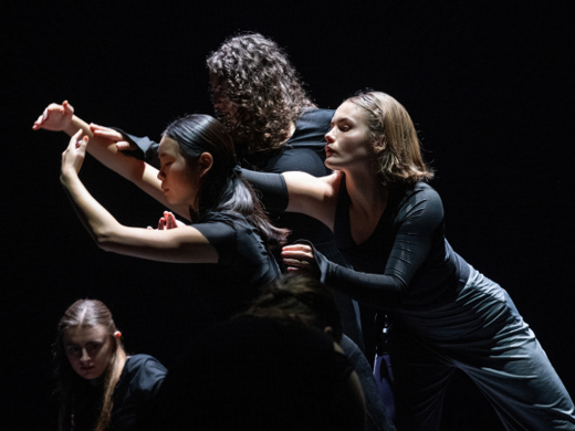 WashU Dance Theatre: something is happening