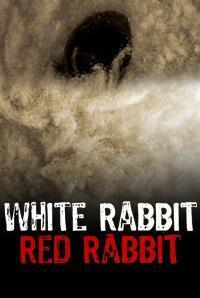 White Rabbit Red Rabbit in India