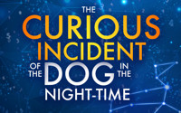 The Curious Incident of the Dog in the Night-Time