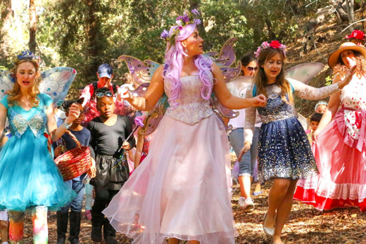 A Faery Hunt Enchanted Adventure