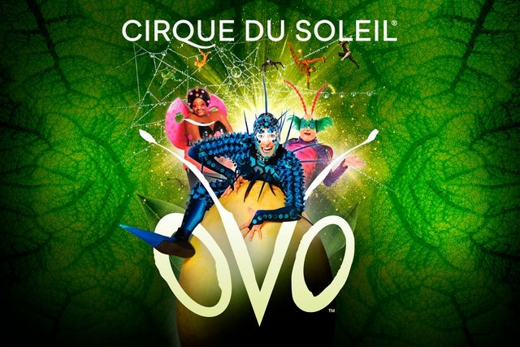 OVO show poster