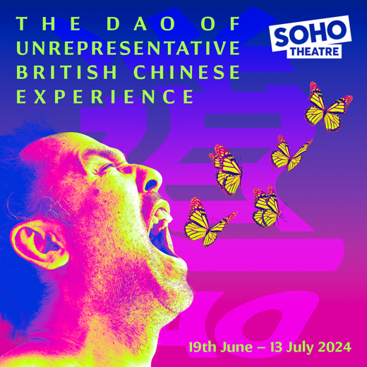 The Dao of Unrepresentative British Chinese Experience in UK Regional