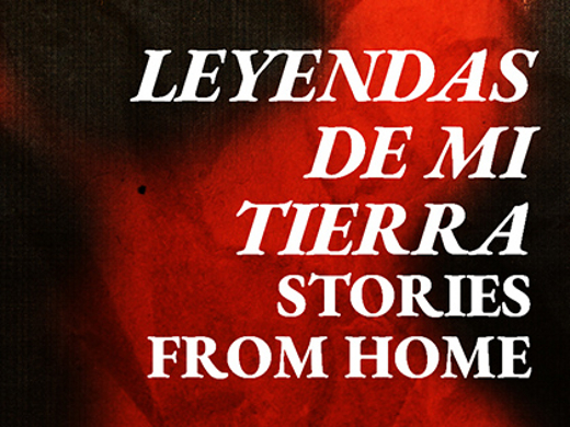 Stories From Home show poster