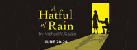 A Hatful of Rain show poster